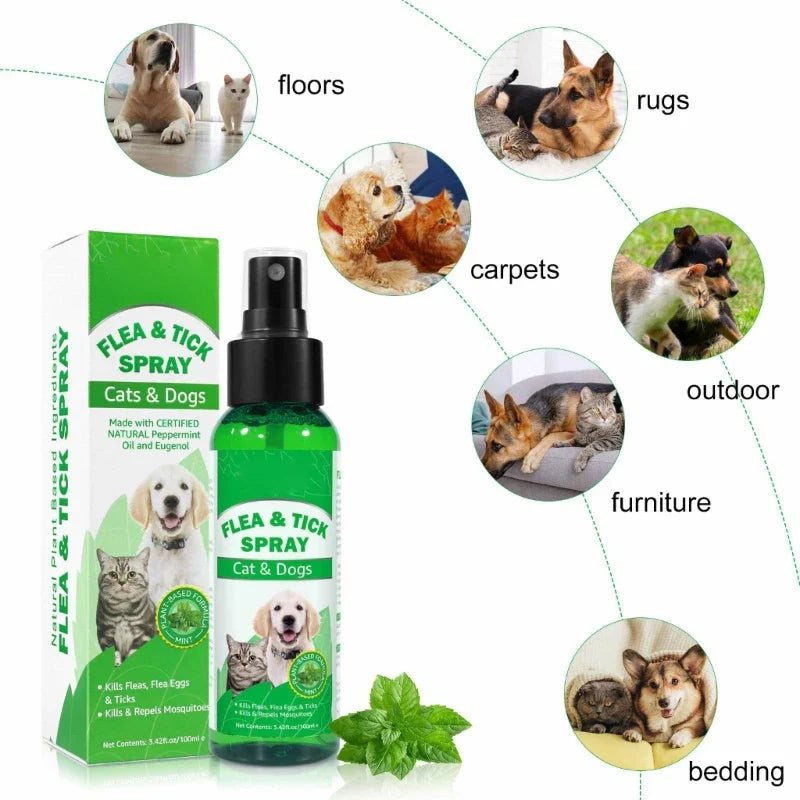 Fleas for Cats Powerful Prevention and Control for Tick Fleas Eggs Fleas and Prevention for Dogs