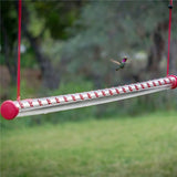 Hummingbird Feeder with Hole Birds Feeding Transparent Pipe Easy to Use Household Traditional Garden Feeding Supplies with Hole