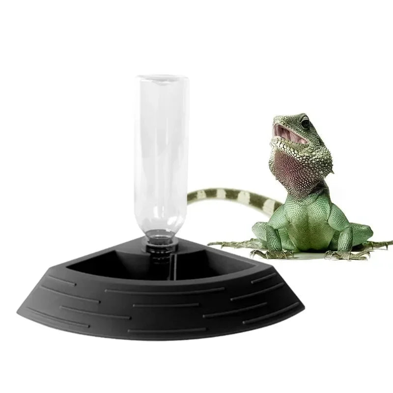 Water For 1 Automatic Dispenser Waterer Lizard Small Tortoise Feeder Terrarium Bowl Animal Dish In Reptile Corner Food 2