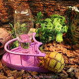 Reptile Water Drinker Feeder Water Dispenser Bottle Aquarium Ornament Terrarium Dish for Turtle Food and Water Bowl with Fence