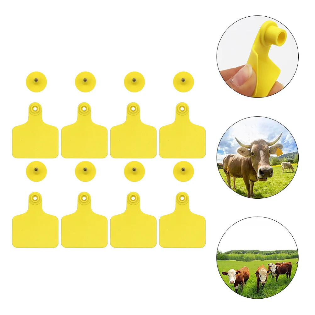 100 Pcs Digital Signage Cattle Ear Tag Animal Signs Tags Without Number The Cow Blank Plastic Calf Sheep Tpu