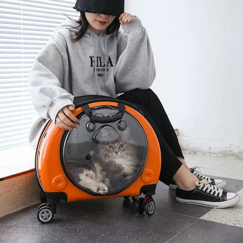 Pet Luggage Backpack Outdoor Large Capacity Breathable Portable Aviation Suitcase Folding Cats Cat Carrier