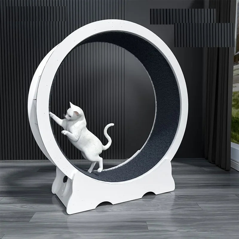 Interactive Cat Running Wheel for Indoor Exercise and Fun Training