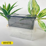 1pc Terrarium for Reptiles Spider Transparent Plastic Feeding Box Insect Lizard Beetle Transport Breeding Food Rearing Container