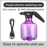 3L/2L Electric Garden Sprayer Watering Cans  Capacity Plant Mister Spray Bottle Waterproof Automatic Plant Atomizer For Indoor