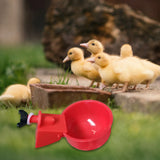 6Pcs Poultry Drinking Bowl Feeder Automatic Chicken Drinker Cup Kit Chicken Feeder Livestock Feeding Watering Supplies