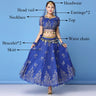 New Bollywood Costume Set Belly Dance Performance Clothes Chiffon Sequin Skirt Set Adult Women Indian Dance Costume Set