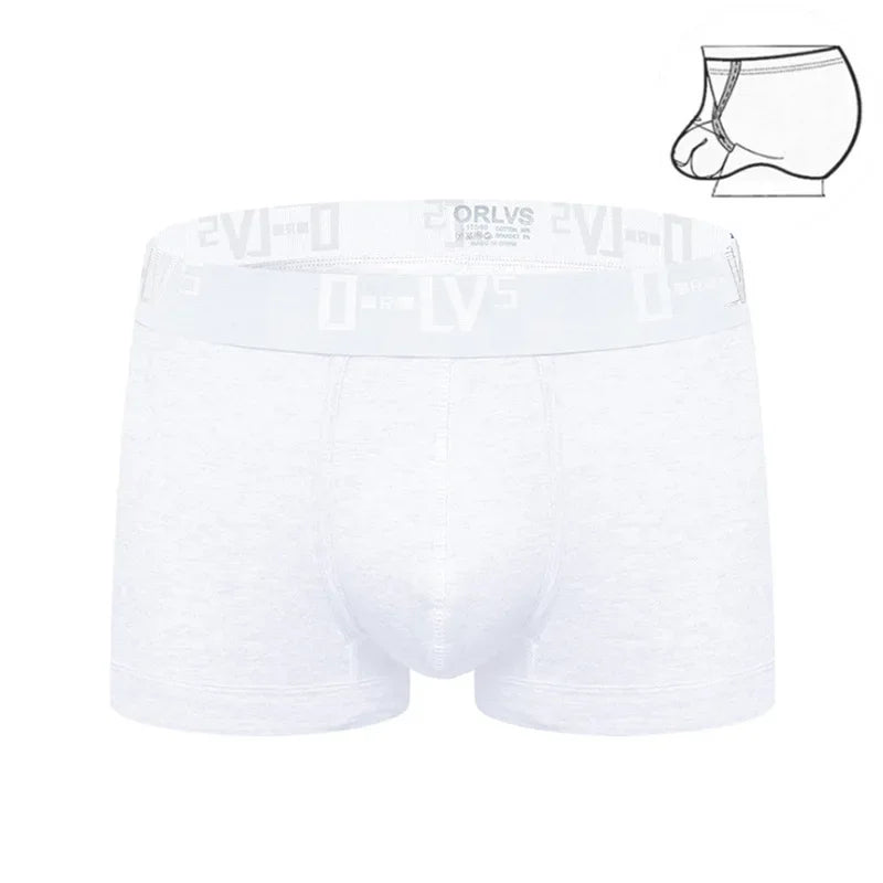 Orlvs autumn and winter men's briefs simple youth lifting ring combed cotton u-protruding low waist boxer or210b beach shorts