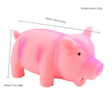 Cute Dog Chew Toys Rubber Sound Pig Grunting Squeak Latex Pet Toys for Dog Squeaker Chew Training Puppy Supplies Pet Products