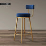 Bar Chair Simple Casual Home Cafe Stool Back High Chair Dining Chair Nail Shop Reception Room Bar Stools Bar Table for Home