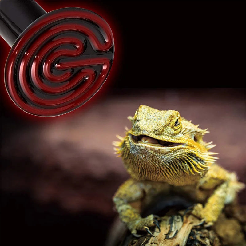 1PCS Reptile Pet No Light Infrared Ceramic Heating Lamp E27 Mini Emitter Heat Bulbs 25/50/75/100W for Pets Habitat Lighting