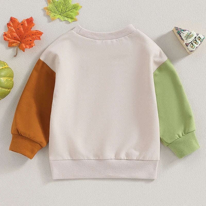 2023-07-21 Lioraitiin 6M-4T Kids Boys Sweatshirt Long Sleeve Crew Neck Pumpkin Turkey Print Hoodie Pullover Halloween Clothes