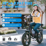 Electric Bike for Adults,750W 48V 13AH Removable Battery Foldable Electric Bikes, 20" x 4.0 Fat Tire 2 Seater Electric Bicycles