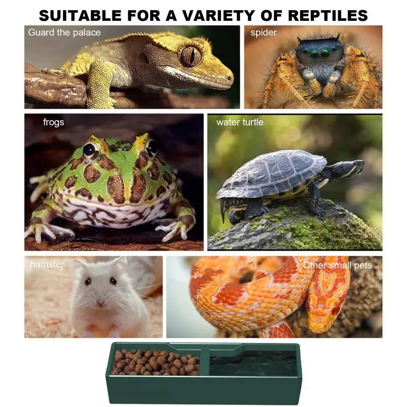 Reptile Feeding Dish Mealworms Bowl Bearded Dragon Dish Resin Bowl Frog Terrarium Bowls For Lizard Gecko Chameleon Pets Habitats