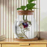 Glass Fish Bowl Lid Small Betta Tank Terrarium Mini Aquarium Coffee Table Terrariums Plants Desktop