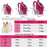 Portable Dog Carry Pack Travel Breathable Pet Dog Bag Carrying Out Double Shoulder Dog Backpacking Carrier with Chihuahua Puppy