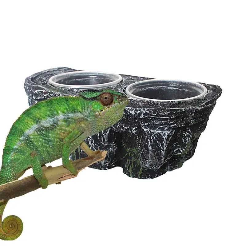 Reptile Food and Water Feeder Reptile Feeder Food Dish  Flexible Sturdy Terrarium Bowls Durable for Lizard Dragon pet supplies