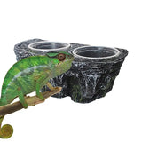 Reptile Food and Water Feeder Reptile Feeder Food Dish  Flexible Sturdy Terrarium Bowls Durable for Lizard Dragon pet supplies