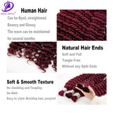 Burgundy Human Hair Extension Deep Curly Virgin Human Bulk Hair No Weft Hair Bundles for Weaving