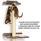 House for Cats Toys Ultimate Cat Climbing Tower & Activity Tree. (24 X 20.8 X 76.8 Inches (lwh) Tall Sisal Scratching Posts Toy