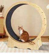 Interactive Cat Running Wheel for Indoor Exercise and Fun Training