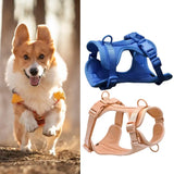 Chest Harness Leash Micro Elastic Easy to Clean Breathable Tensile Comfortable Anti-bite Space Cotton Dog Training Collar Leash