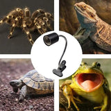 Reptile Heat Bulb Habitat Light Lamp Basking Heat Lamp For pet Reptiles Turtle Animals Heater Amphibians Temperature Controller