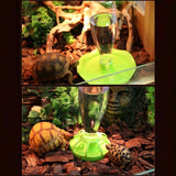 Water Bowl for Bearded-Dragons Lizards Geckos for Terrarium Tanks Water-Fountain with Feeding Dish + Fence