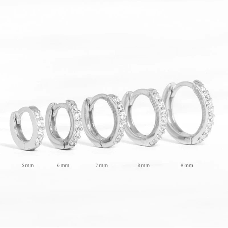 CANNER Real 925 Sterling Silver Earrings For Women Round Micro Inlay Earrings Hoops Zircon Diamond Jewelry Brincos 6 7 8 9mm