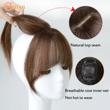 MEIFAN Synthetic False Bangs Clip-In Bangs Extension Natural Neat Fake Fringe Topper Hairpiece Invisible Clourse Hairpieces