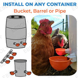 12/20/30PCS Automatic Chicken Water Feeder Drinking Cups Poultry Kit for Chicks Duck Goose Turkey Quail Feeding Watering Supplie