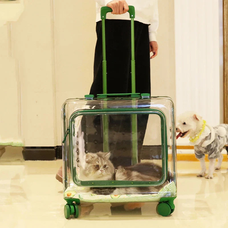 Clear Animal Cats Carriers Pet Trolley Stroller Pocket Travel Cats Carriers Wheels Suitcase Maleta Para Gatos Cats Products