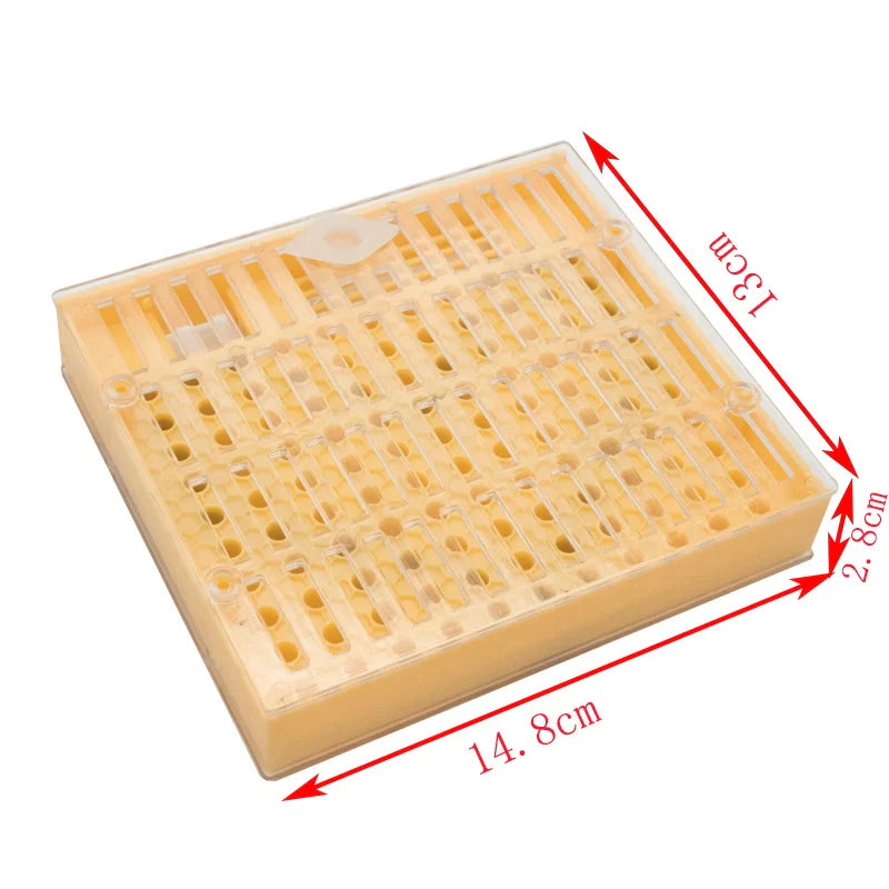 1SET Apiculture Kit Nicot Queen Bee Rearing Plastic Graft Larva Pen Hair Roller Cage Cell Protection Beekeeping Tool Supplies