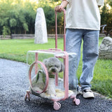 Stroller Kitten Cat Carriers Crate Backpack Transporter Cat Carriers Trolley Animal Trasportin De Gato Pets Products Dog