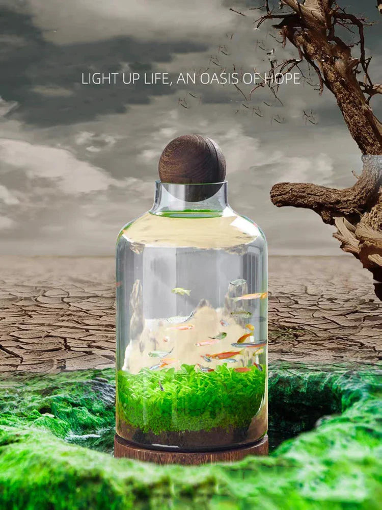 Ecological Bottle Micro Landscape Glass Ecological Fish Tank Aquarium Aquarium Small Fish Water Grass Bottle