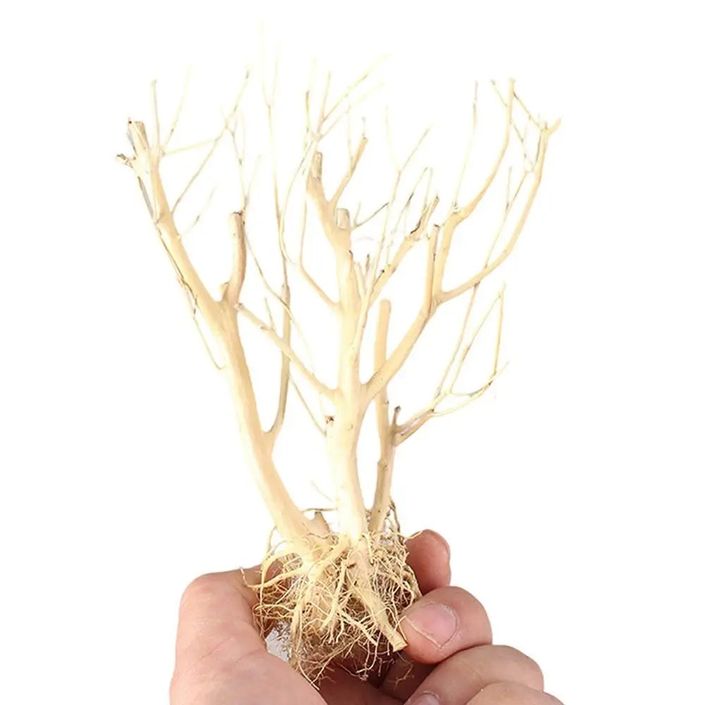 Aquarium Driftwood Natural Wooden Tree Branch Fish Tank Ornaments Landscape Decoration