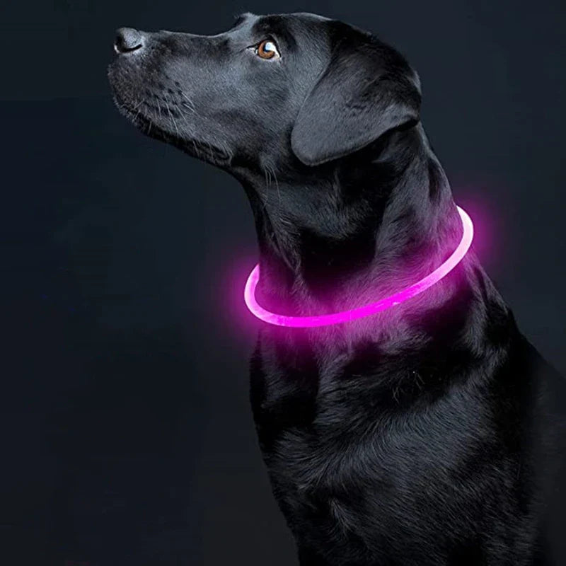 Led Usb Rechargeable Dog Collars Pet Luminous Collar Led Night Safety Flashing Glow Dogs Loss Prevention Collar Pet Accessories