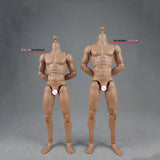 COOMODEL 1/6 Standard Muscle Male Soldier Body MB001 MB002 MB003 BD001 BD002 BD003 BD004 25/27CM Military Action Figure Doll