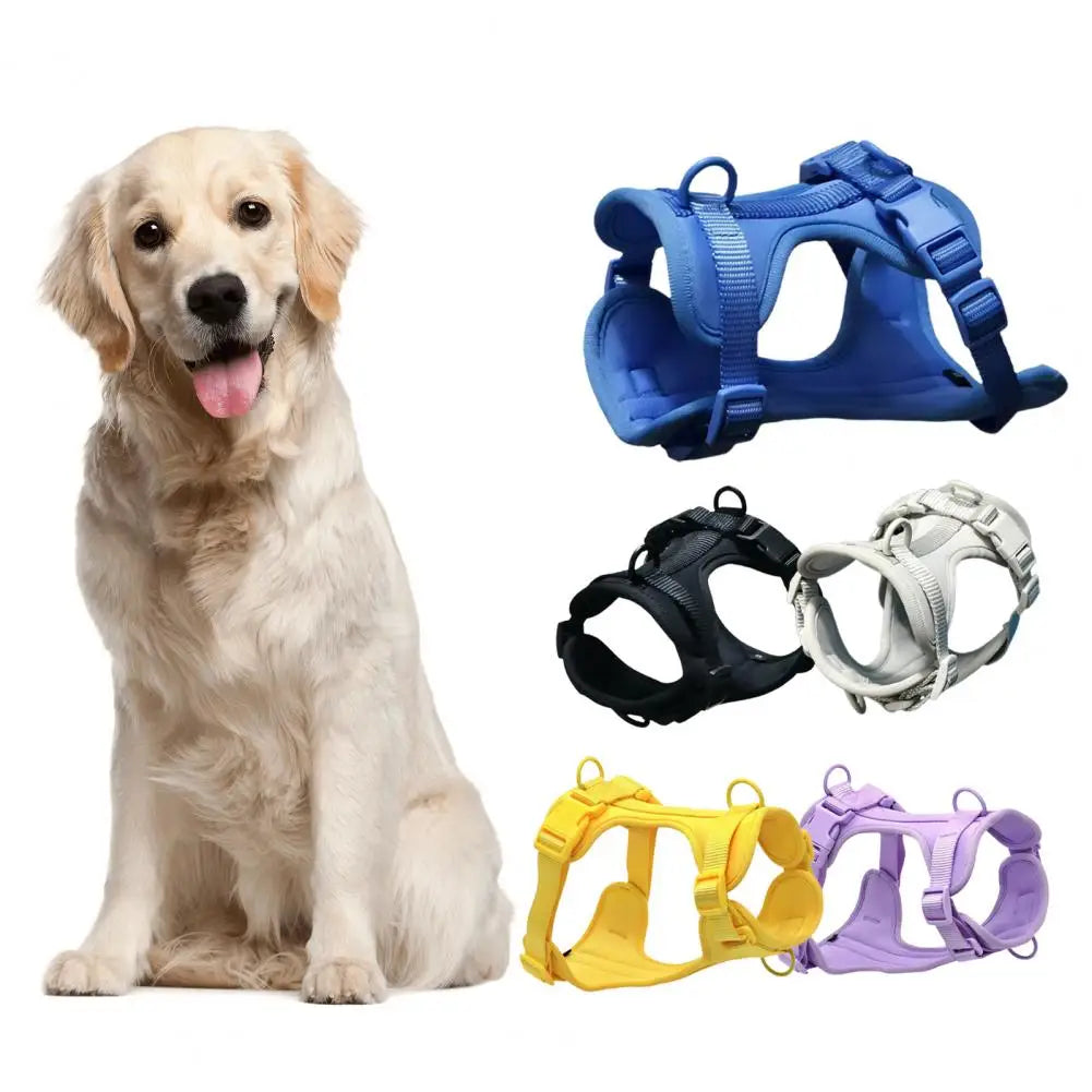 Chest Harness Leash Micro Elastic Easy to Clean Breathable Tensile Comfortable Anti-bite Space Cotton Dog Training Collar Leash