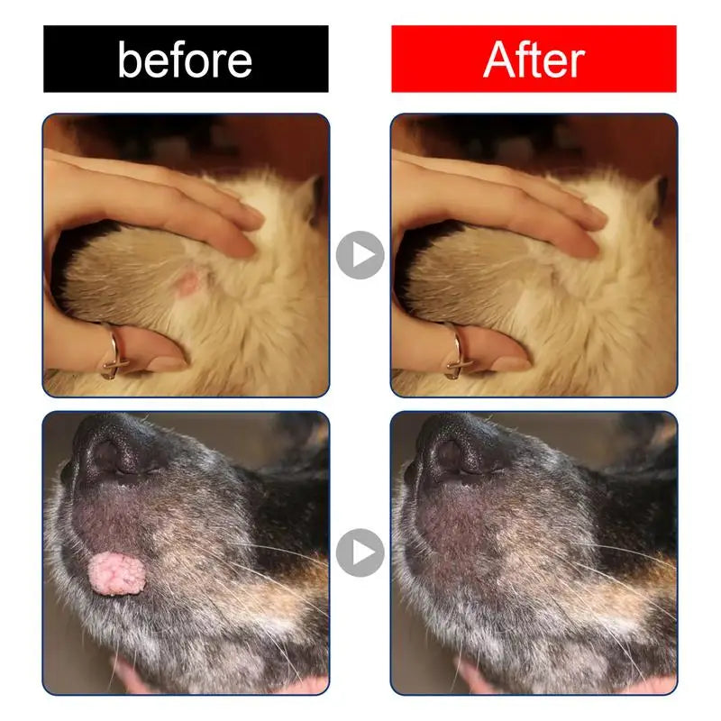 Natural Dog Wart Remover Dog Ear Drops Painless Treatments Against Moles Cleaning Care For Pet Dog Litter & Housebreaking