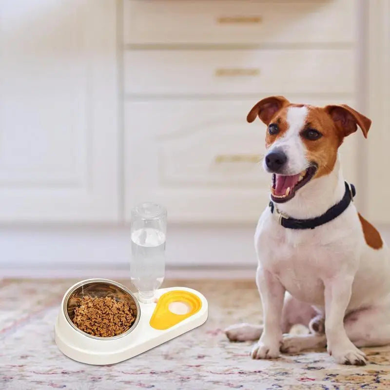 Tilted Cat Food Bowl Set Automatic Pet Water Dispenser and Food Bowl Pet Supplies for Cats Dogs Feeding & Watering Accessories