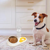 Tilted Cat Food Bowl Set Automatic Pet Water Dispenser and Food Bowl Pet Supplies for Cats Dogs Feeding & Watering Accessories