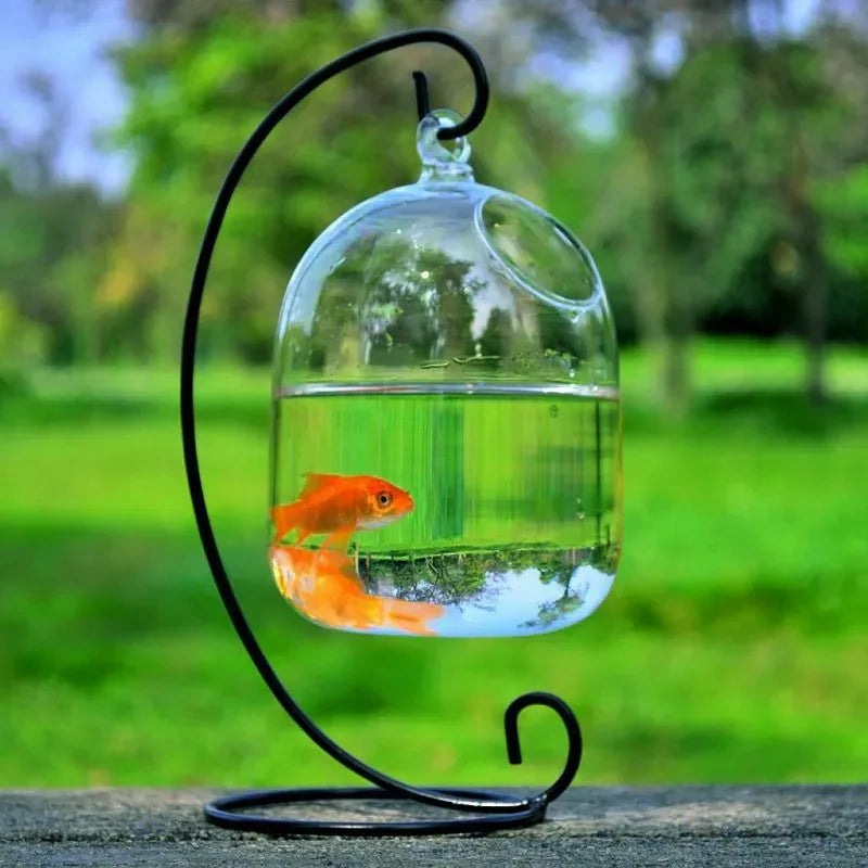Mini Fish Tank Aquarium Accessories Goldfish Glass Fishbowl Fishing Hydroponics Terrarium Plant Flower Pot Pet Jellyfish Carp
