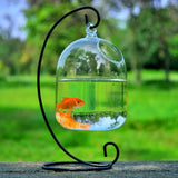 Mini Fish Tank Aquarium Accessories Goldfish Glass Fishbowl Fishing Hydroponics Terrarium Plant Flower Pot Pet Jellyfish Carp
