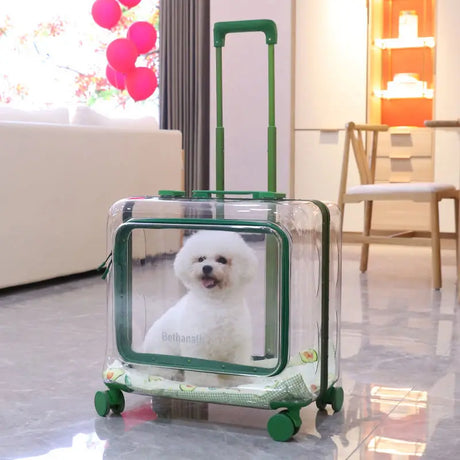 Lightweight Transparent Pet Trolley Case, Beauty Case, Professional Cat Stroller with Wheels, Expandable Pets Accessories