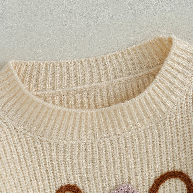 2023-07-04 Lioraitiin 0-5T Toddler Baby Girl Boy Chunky Knit Sweater Top Big Sister Brother Little Sister Matching Outfits