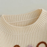 2023-07-04 Lioraitiin 0-5T Toddler Baby Girl Boy Chunky Knit Sweater Top Big Sister Brother Little Sister Matching Outfits