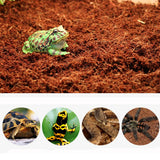 Tortoise Reptile Bedding Soil 650g Reptile Coconut Soil Natural Coconut Fiber Substrate Lizard Reptile Terrarium Bottom Supplies