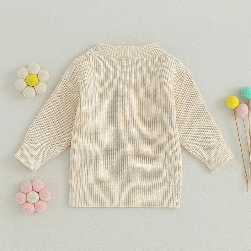 2023-07-04 Lioraitiin 0-5T Toddler Baby Girl Boy Chunky Knit Sweater Top Big Sister Brother Little Sister Matching Outfits