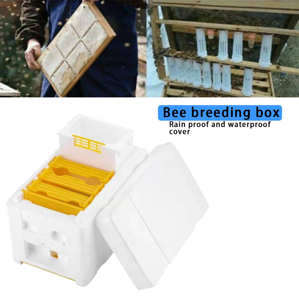 Multi-Function Beehive Beekeeping King Box Foam Home Bee Hive Pollination Boxes Harvest Bee Hive Beekeeper Mating Supplies